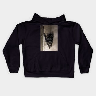 Penrhyn castle -Hand Kids Hoodie